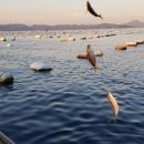 거제칠천도해오름펜션 이미지