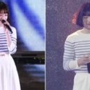 푸른산호초 이미지