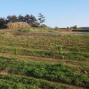 응좌농장 이미지