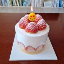 한들농장 | 오브닝케이크앤디저트 생크림딸기케이크 맛집 내돈내산 후기