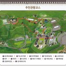 산천한의원 | 모든것! : 출렁다리 무릉교, 엑스포주제관 전시(어린이추천), 맛집 동의약선관, 한방가족호텔 숙소 후기