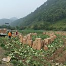 수안보농업협동조합 이미지