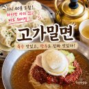 고가 | 창원대 맛집 <고가밀면> 후기｜11시 40분에 갔는데 바로 웨이팅, 만두까지 진짜 맛있다