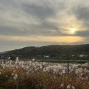 (주)담주조경