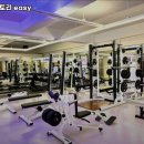 머슬팩토리easy