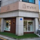 반냥트리 이미지