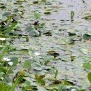 양산체육공원 이미지