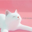 아르헤어 - 장성군 | 청주 진짜 완전 만족한 위아르헤어 복대점 후기