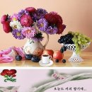 오늘도커피 이미지