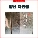 궁 사우나 | 엄마와 함께한 양산물금 편백효소찜질 자연궁 땀 쭉빼고~ 첫방문고객 1+1 이벤트후기