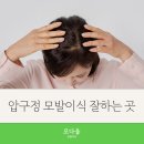 모다올의원 이미지