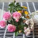 꽃 우리 이미지