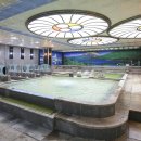 스파리스 이미지