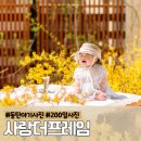 동탄근처사진관 사랑더프레임 동탄아기사진 동탄돌사진 촬영 후기