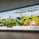 대원물세탁 이미지