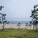 더킹바이크 | 대천 해수욕장 해물칼국수 해물라면 더킹회조개구이