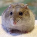 가능동물병원 이미지