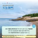 선유도어촌체험휴양마을 이미지