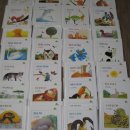 한솔책비디오 이미지