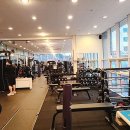 머슬그로우
