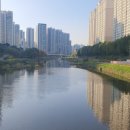 안양천뷰 이미지