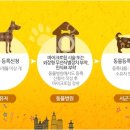 헤세드동물병원 네이버블로그