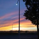 백이비인후과의원 이미지