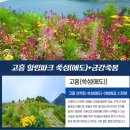 [28인승리무진2023년6월 24일 토요일]고흥군 쑥섬 쑥섬(애도)수국꽃섬&봉래산 편백숲 트레킹 관광 이미지