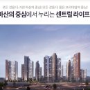 합성동262 이미지