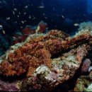 씨~월드 이미지