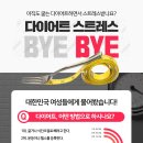 셀럽점핑 다이어트