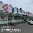 삼일약국 | 경주창고형약국 주말 연중무휴 문 여는 경주백화점대형약국 방문 후기