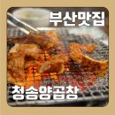 청송양곱창 | 부산 남천동 맛집 “청송양곱창” 후기(양,대창)