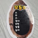 백씨네 | 낙산해수욕장 회센터 백씨네 횟집 (내돈내산)