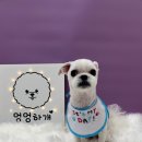 정봉미용실