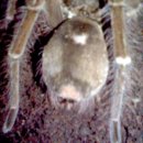 마들역(7호선) 이미지