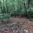 검암산(정상) 이미지