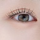 네일도속눈썹#