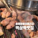 하몽하몽 | 역삼역고기집 하몽하몽이베리코 황제세트 솔직후기｜이베리코 맛집 인정
