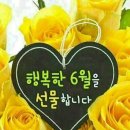광렌트카 이미지
