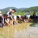 화암리영농조합 이미지