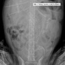 의정부24시IU동물병원 이미지