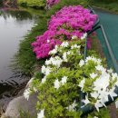 상무시민공원 이미지