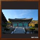 [공지] 800년전 종이로 만든 최고의 조형적 완성불상, 나주심향사 건칠아미타여래좌상