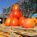 금정농장 이미지