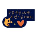 대구의 이재모피자? 호보스 피자 솔직 후기