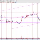 신성바이오텍 이미지