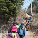 아라메길 네이버블로그