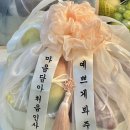 쌍둥이청과 | 선물 &#39;우주농산&#39; 가락시장 과일바구니 내돈내산 후기 :: 가격, 모바일온누리 상품권 할인, 상견례...