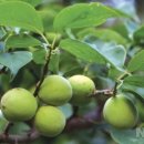 천번공인중개사사무소 이미지